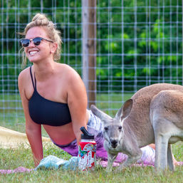 Kangaroo Yoga Session with Certified Instructor (Up to 25 People) image 1