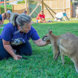 Kangaroo Yoga Session with Certified Instructor (Up to 25 People) image 7