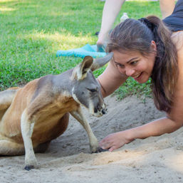 Kangaroo Yoga Session with Certified Instructor (Up to 25 People) image 5