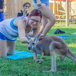 Kangaroo Yoga Session with Certified Instructor (Up to 25 People) image 6