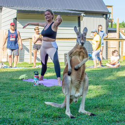 Kangaroo Yoga Session with Certified Instructor (Up to 25 People) image 8