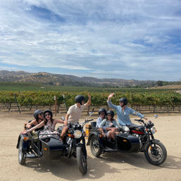 Scenic Sidecar Vineyard Tour in Paso Robles image