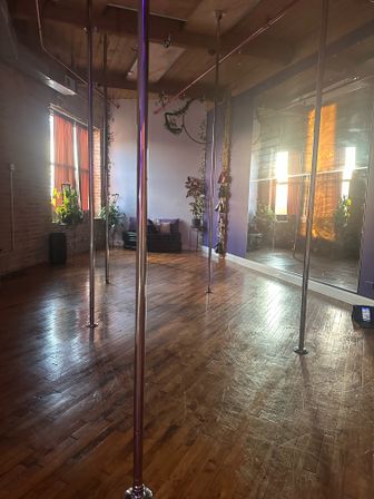 Pole Dance,Aerial, Chair Dance, Pole Silks Party! image 7