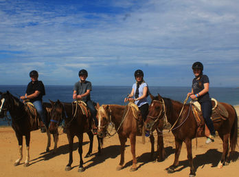 Horseback Riding On The Beach for Beginner, Intermediate & Advanced Riders image 3