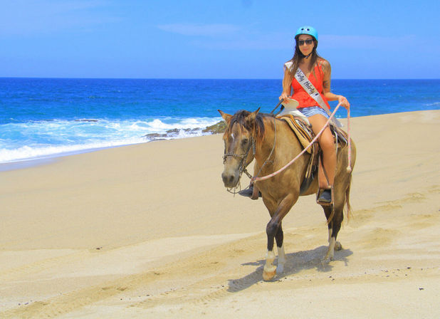 Horseback Riding On The Beach for Beginner, Intermediate & Advanced Riders image 7