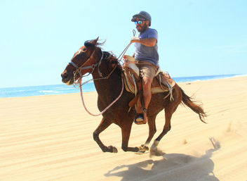 Horseback Riding On The Beach for Beginner, Intermediate & Advanced Riders image 4