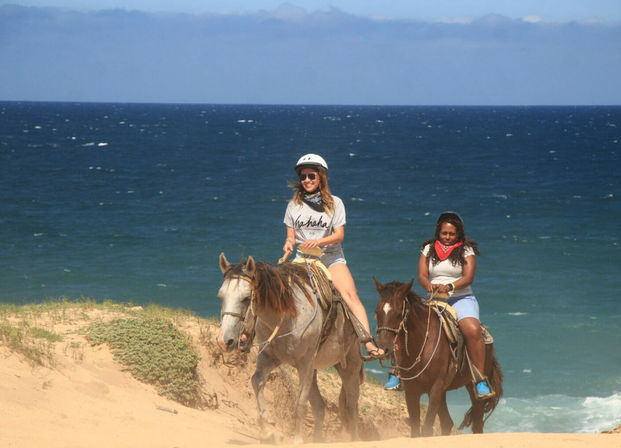 Horseback Riding On The Beach for Beginner, Intermediate & Advanced Riders image 2