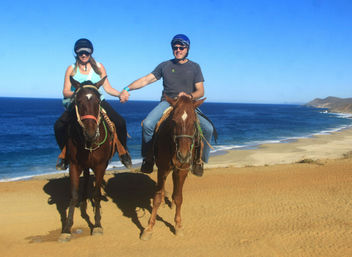 Horseback Riding On The Beach for Beginner, Intermediate & Advanced Riders image 9