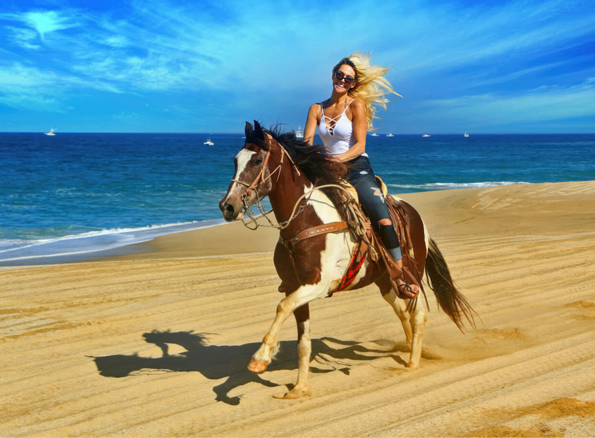 Horseback Riding On The Beach for Beginner, Intermediate & Advanced Riders image 1