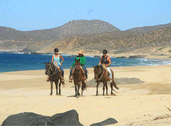 Horseback Riding On The Beach for Beginner, Intermediate & Advanced Riders image 10