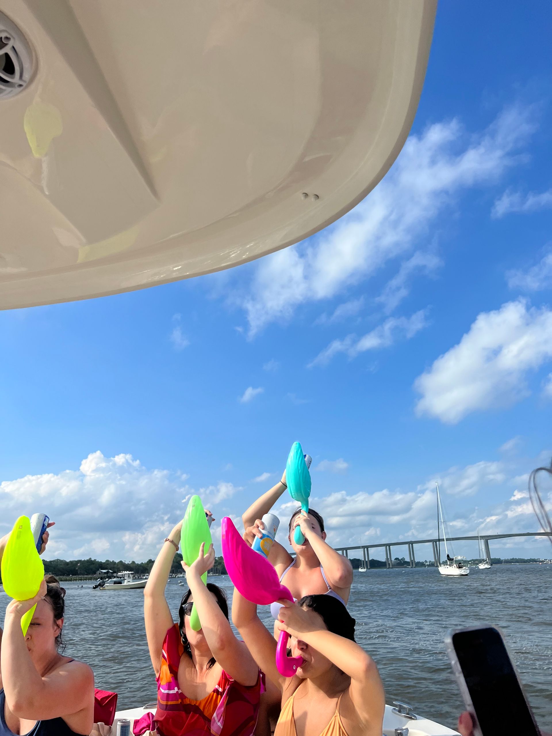 Luxury Boat Charters in Charleston Harbor: Scenic Views, Custom Itineraries, and Premium Onboard Amenities image 2