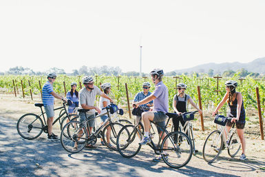 Explore Napa Valley on Casual Cruisers or E-Bikes: 1-Day Bike Rental image 6