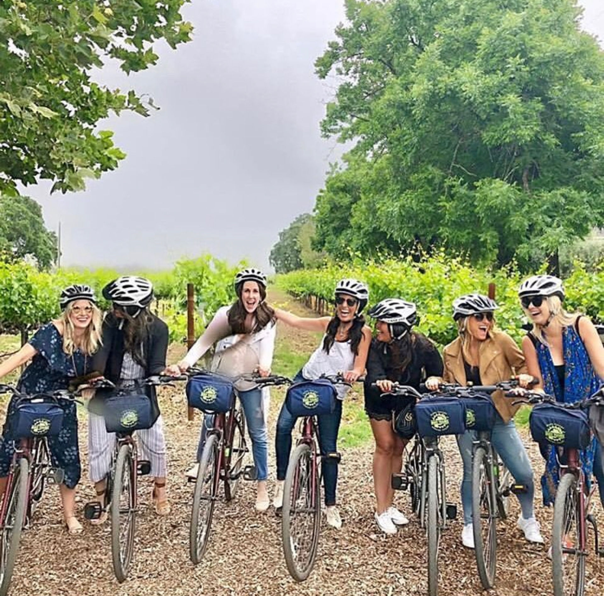 Explore Napa Valley on Casual Cruisers or E-Bikes: 1-Day Bike Rental image 2