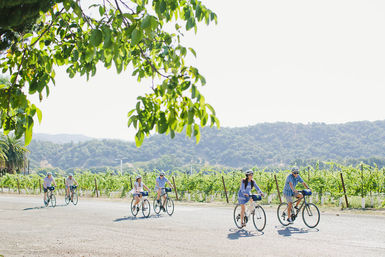 Explore Napa Valley on Casual Cruisers or E-Bikes: 1-Day Bike Rental image 5