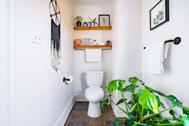 Welcome to the Jungle: Lush Escape in Short North image 37