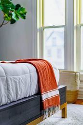 Welcome to the Jungle: Lush Escape in Short North image 25