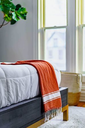 Welcome to the Jungle: Lush Escape in Short North image 25