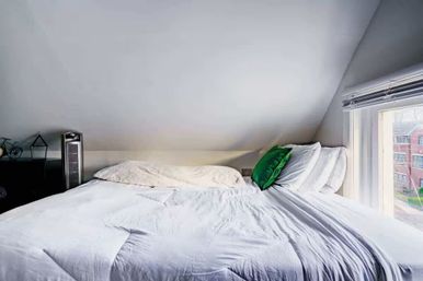 Welcome to the Jungle: Lush Escape in Short North image 50