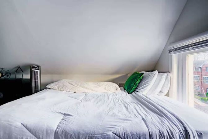Welcome to the Jungle: Lush Escape in Short North image 50