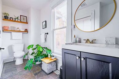 Welcome to the Jungle: Lush Escape in Short North image 36