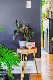 Welcome to the Jungle: Lush Escape in Short North image 13