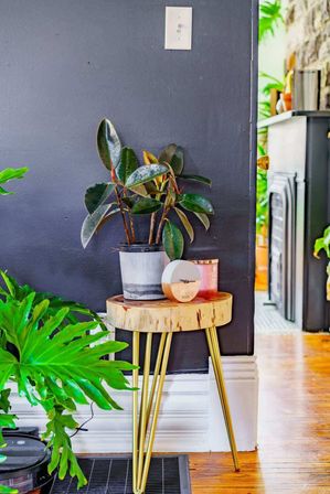 Welcome to the Jungle: Lush Escape in Short North image 13