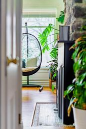 Welcome to the Jungle: Lush Escape in Short North image 2