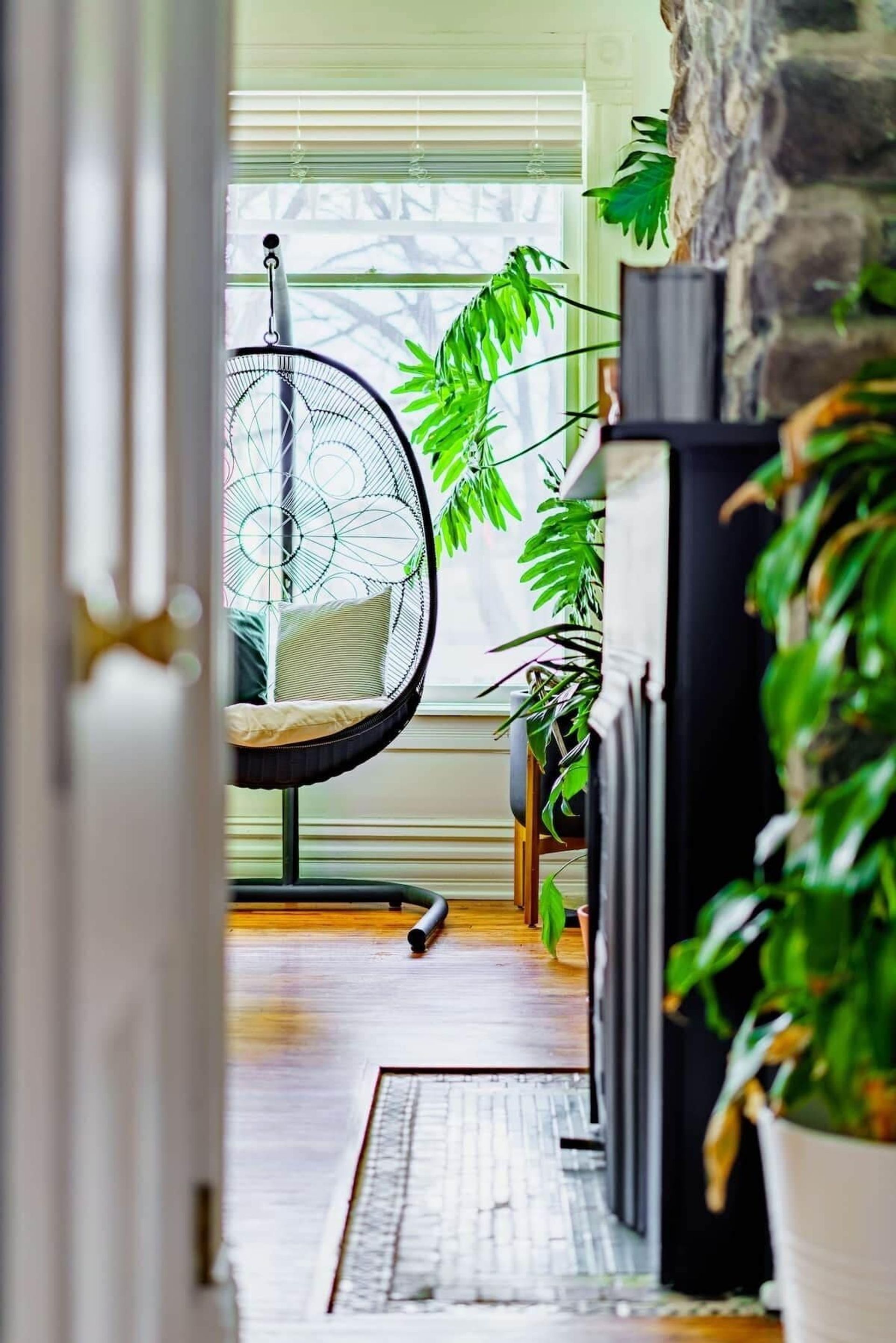Welcome to the Jungle: Lush Escape in Short North image 2
