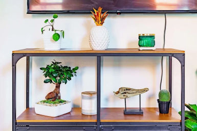 Welcome to the Jungle: Lush Escape in Short North image 12