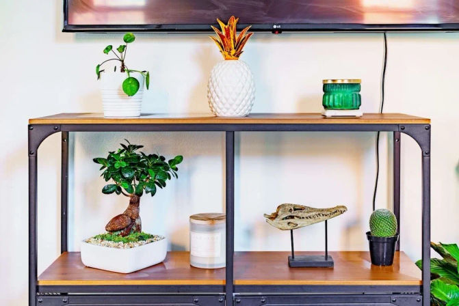Welcome to the Jungle: Lush Escape in Short North image 12