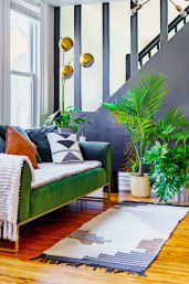 Welcome to the Jungle: Lush Escape in Short North image 10