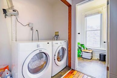 Welcome to the Jungle: Lush Escape in Short North image 43