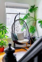 Welcome to the Jungle: Lush Escape in Short North image 18