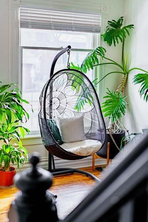 Welcome to the Jungle: Lush Escape in Short North image 18