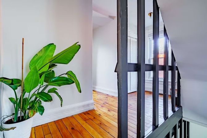 Welcome to the Jungle: Lush Escape in Short North image 44