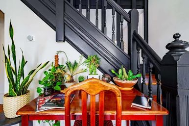 Welcome to the Jungle: Lush Escape in Short North image 19
