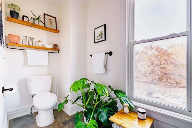 Welcome to the Jungle: Lush Escape in Short North image 38
