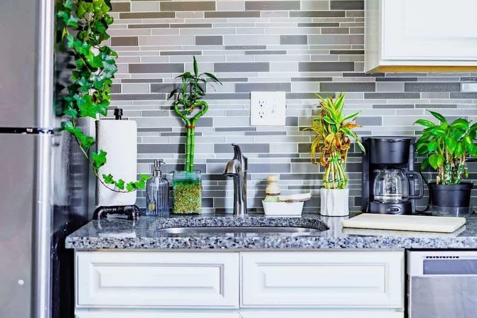 Welcome to the Jungle: Lush Escape in Short North image 46