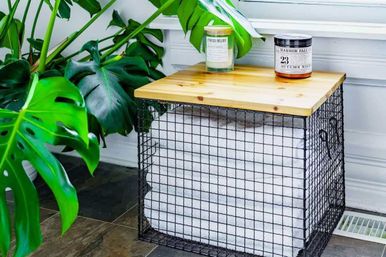 Welcome to the Jungle: Lush Escape in Short North image 40