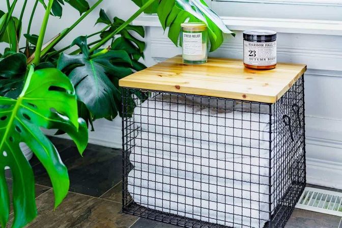 Welcome to the Jungle: Lush Escape in Short North image 40