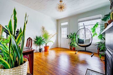 Welcome to the Jungle: Lush Escape in Short North image 4