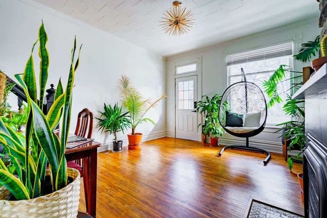 Welcome to the Jungle: Lush Escape in Short North image 4