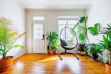 Welcome to the Jungle: Lush Escape in Short North image 16