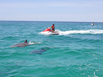 Jet Ski Tours in Destin & Fort Walton Beach: Ride with Dolphins & Explore Islands image 5