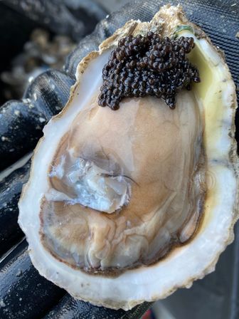 Seafood Boil Extravaganza: Authentic New Orleans Dining Feast with Drop Off Option image 10