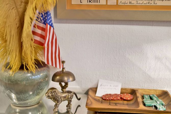 Twin Lions Lodge: Eclectic Chic in Bucktown image 12