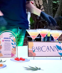 High Times Ahead: Mobile Cannabis Bar for Epic Parties image 7