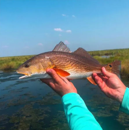 Hooked on the Bayou: New Orleans Kayak Fishing Charter Tour at Bayou Bienvenue image 5