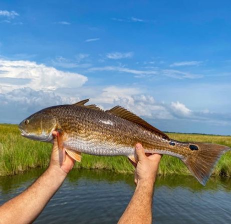 Hooked on the Bayou: New Orleans Kayak Fishing Charter Tour at Bayou Bienvenue image 6