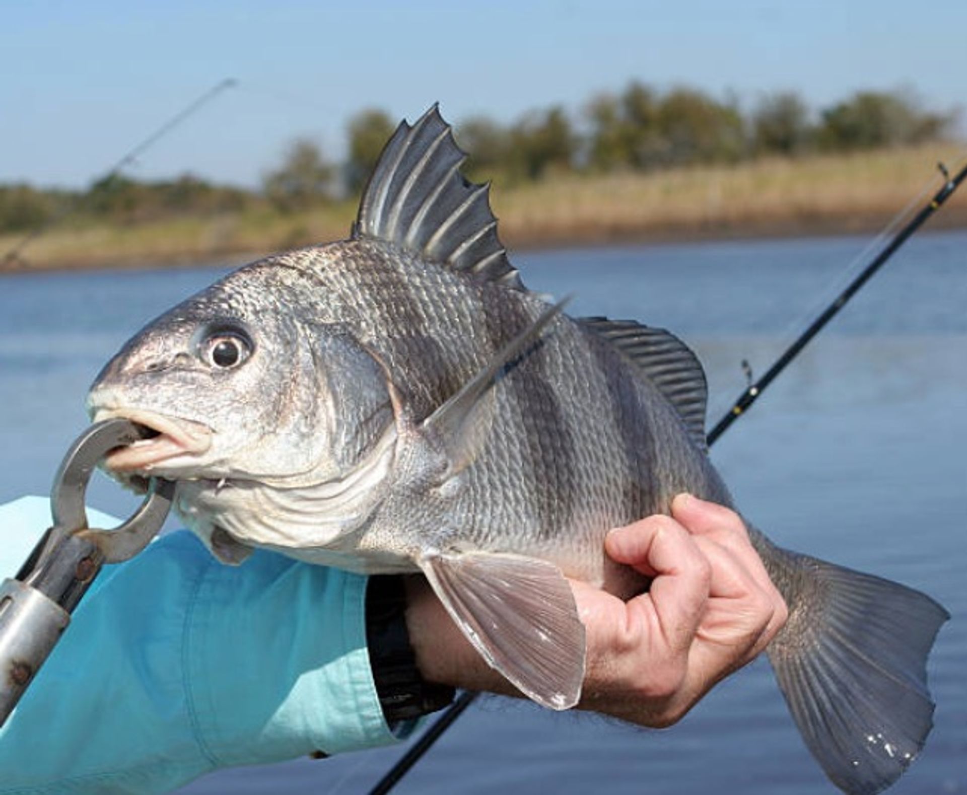 Hooked on the Bayou: New Orleans Kayak Fishing Charter Tour at Bayou Bienvenue image 2